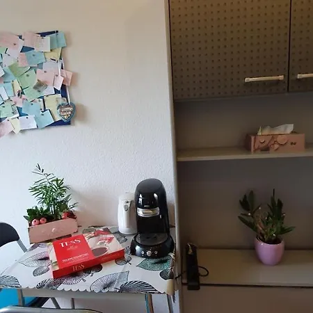 Homestay K Marx City Private Cafe Snacks Parking Trier